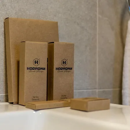 Harmony Village ヴィラ