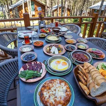 Harmony Village * Mahmudiye