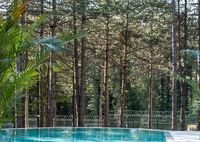 Villa Harmony Village *